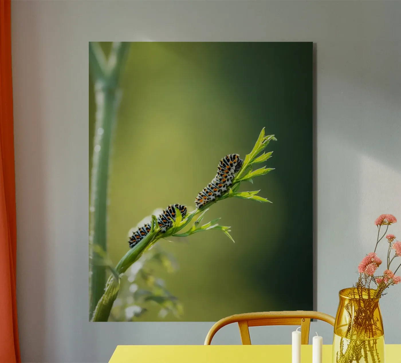 Bruco alluminio dibond da Tom's Wildlife