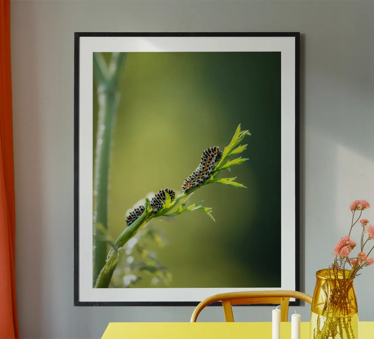 Bruco poster da Tom's Wildlife