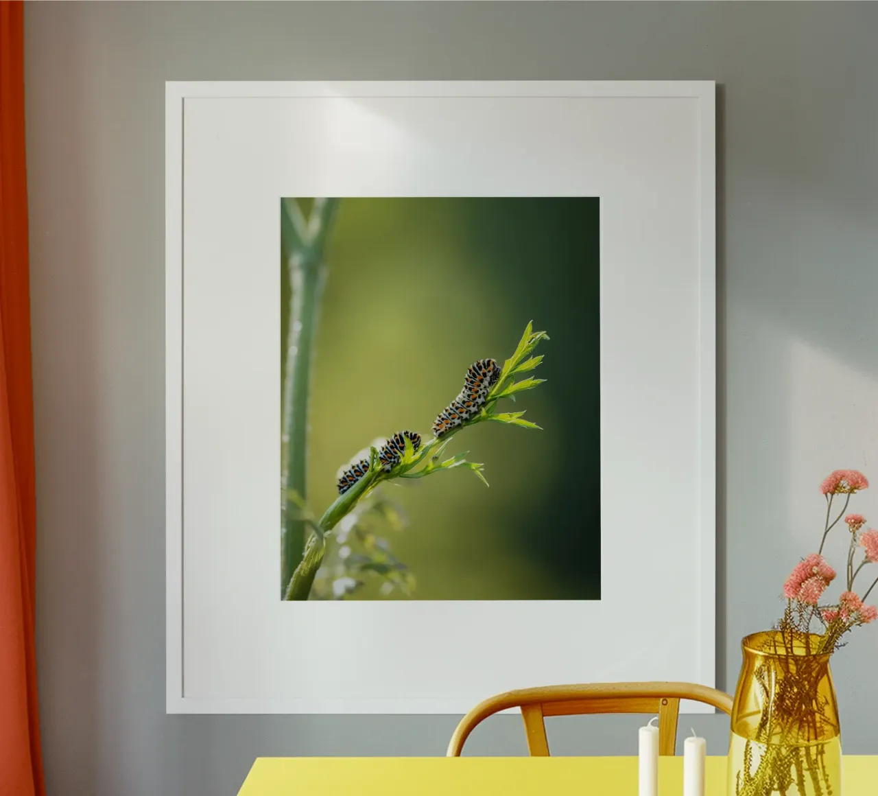 Bruco poster da Tom's Wildlife