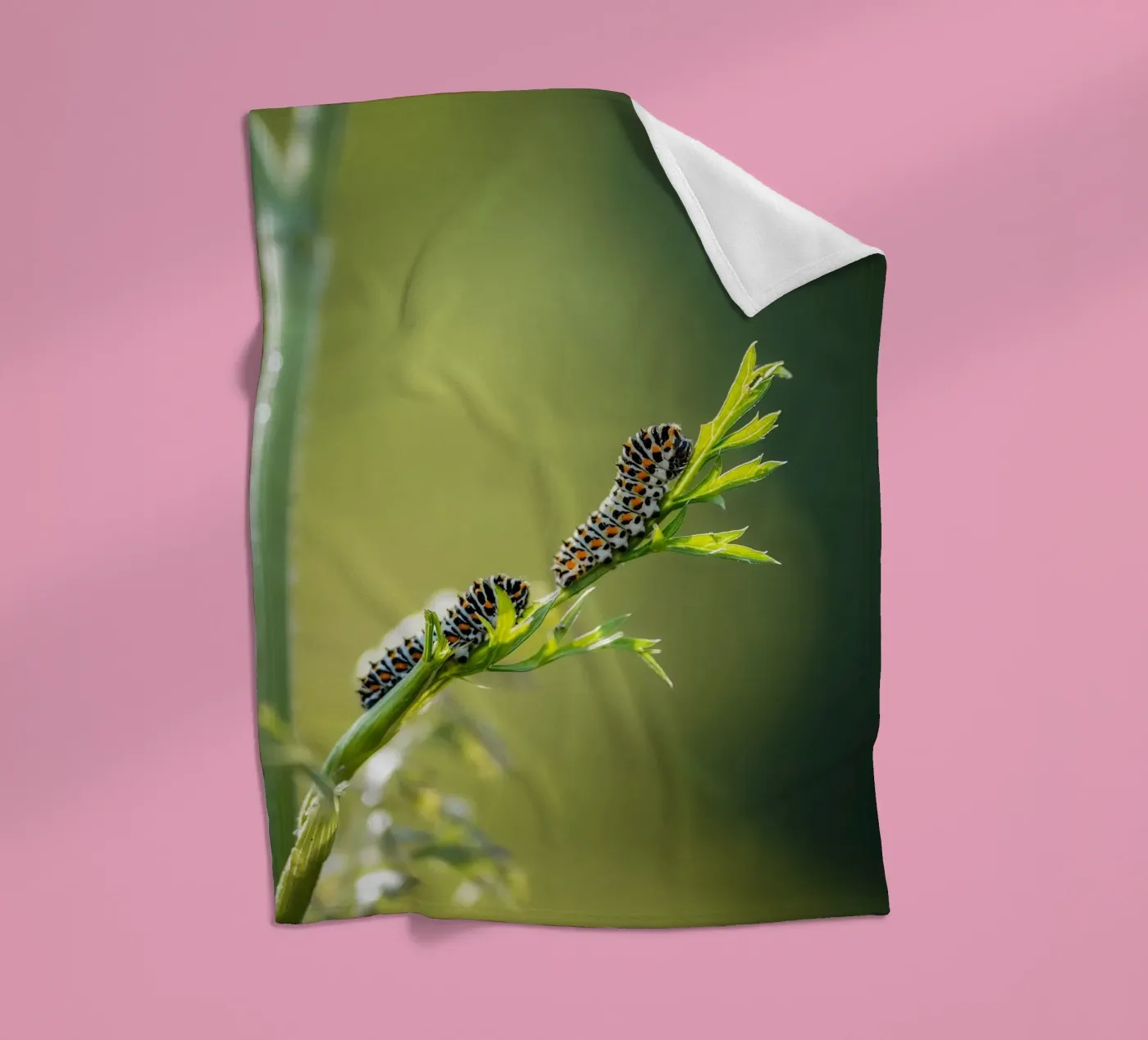 Caterpillar Fleecedecke von Tom's Wildlife