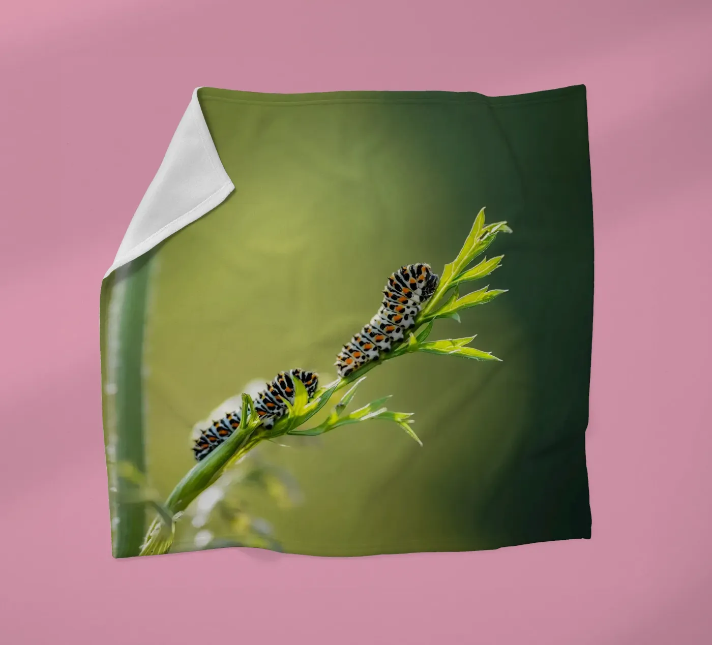 Caterpillar Fleecedecke von Tom's Wildlife