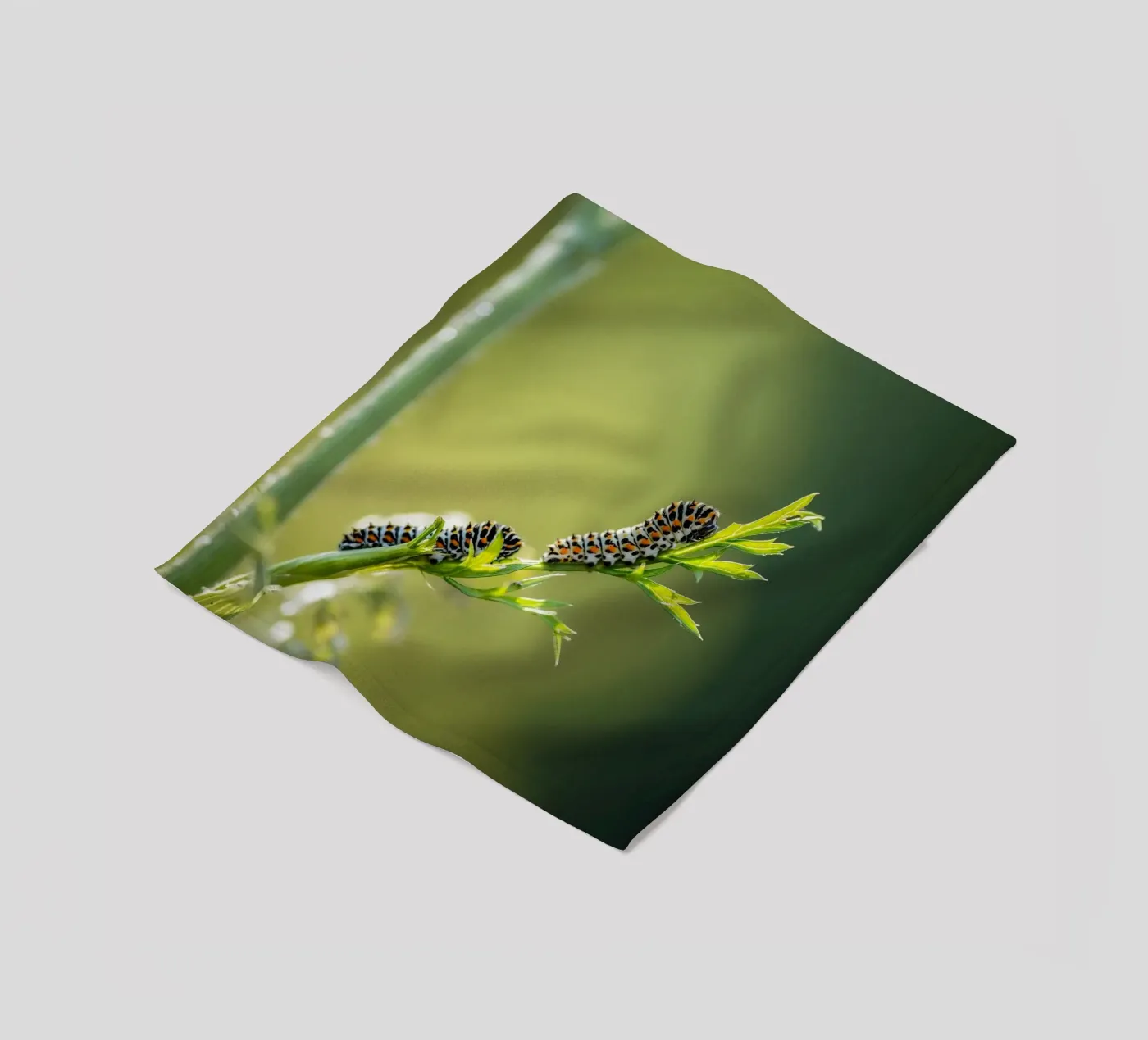 Caterpillar Fleecedecke von Tom's Wildlife