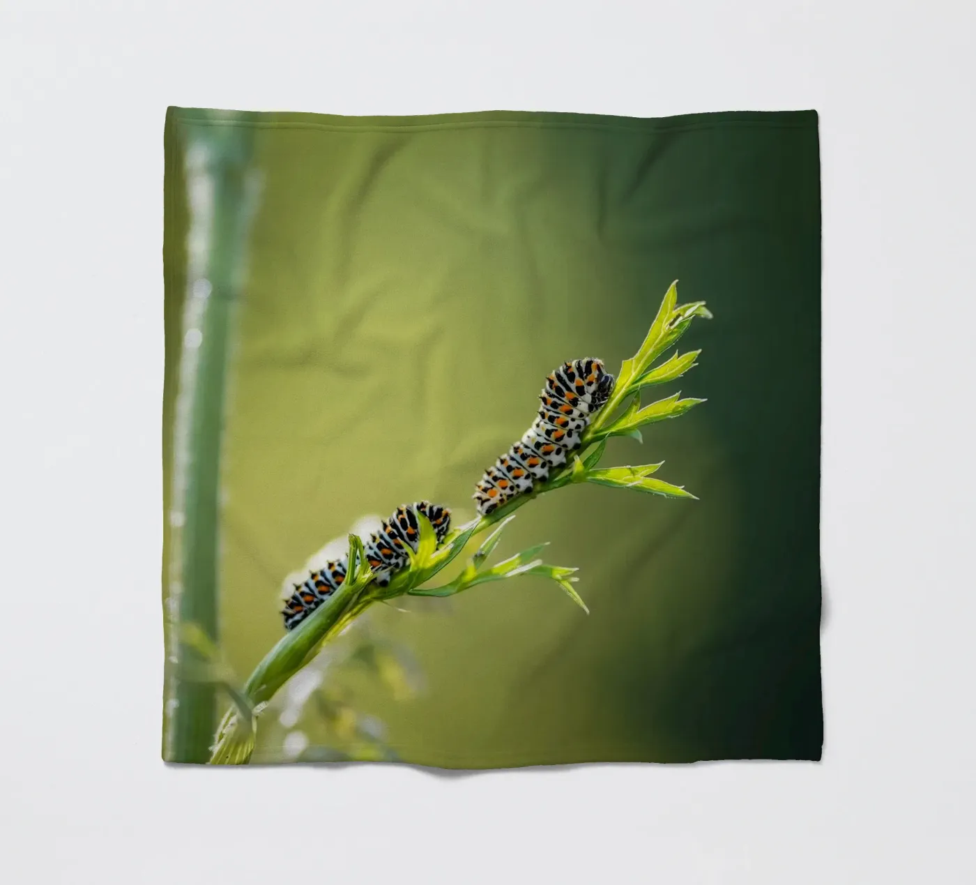 Caterpillar Fleecedecke von Tom's Wildlife