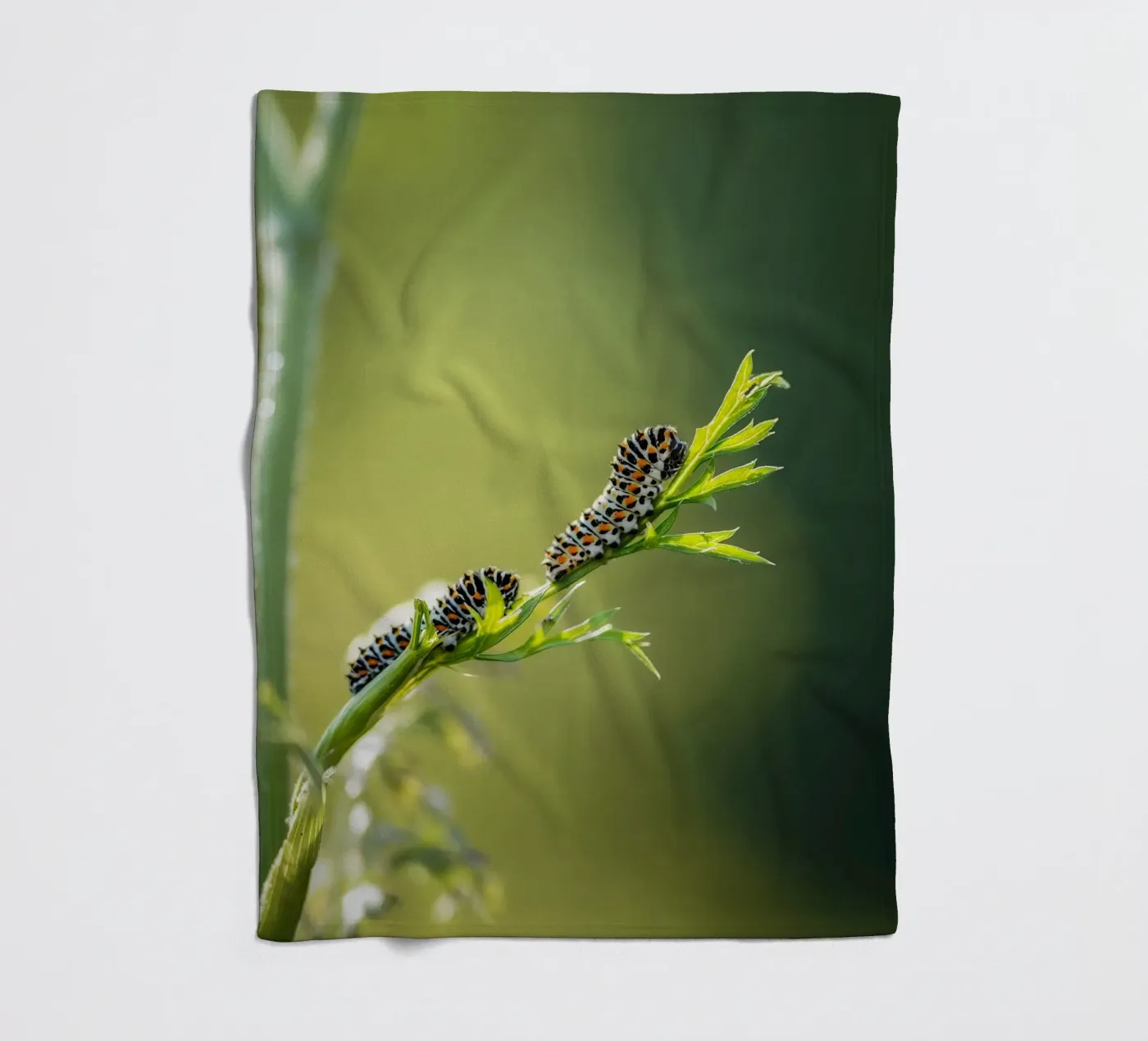 Caterpillar Fleecedecke von Tom's Wildlife
