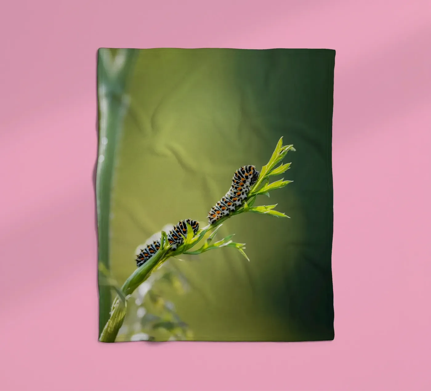 Caterpillar Fleecedecke von Tom's Wildlife