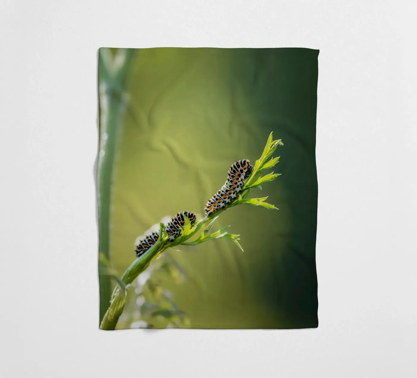 Caterpillar Fleecedecke von Tom's Wildlife