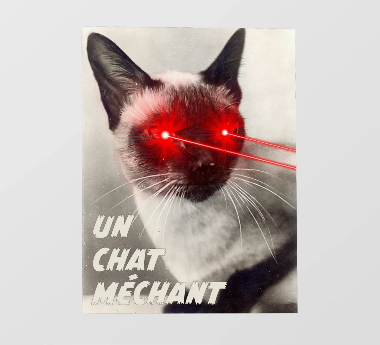 Un Chat Mechant pellicola backlit da MsGonzalez