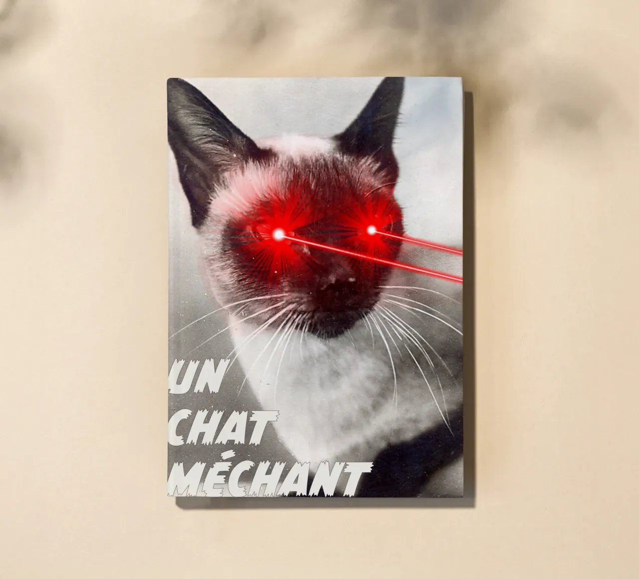 Un Chat Mechant notebook by MsGonzalez