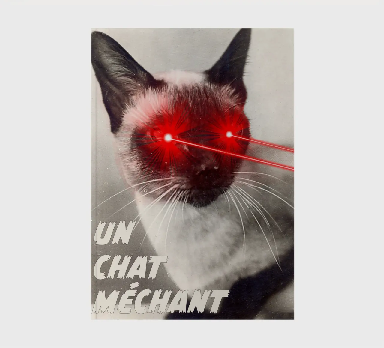 Un Chat Mechant notebook by MsGonzalez