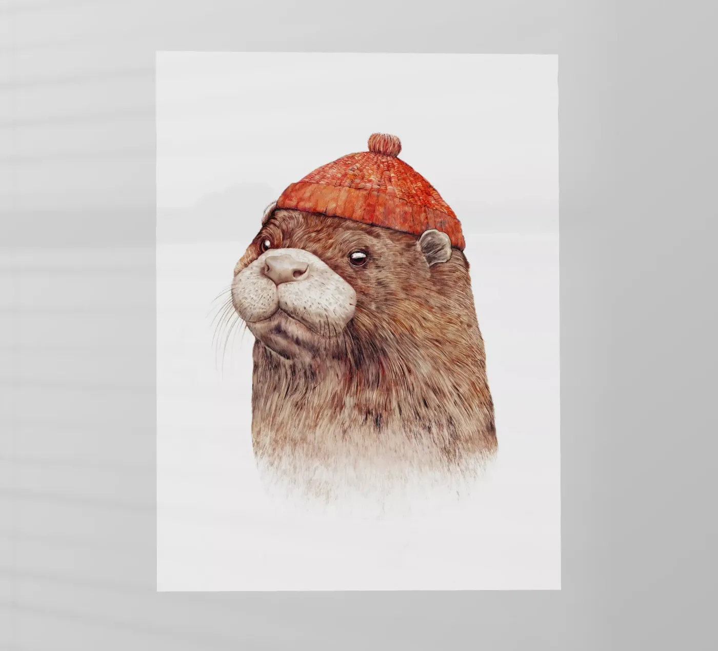 Otter pellicola backlit da Animal Crew