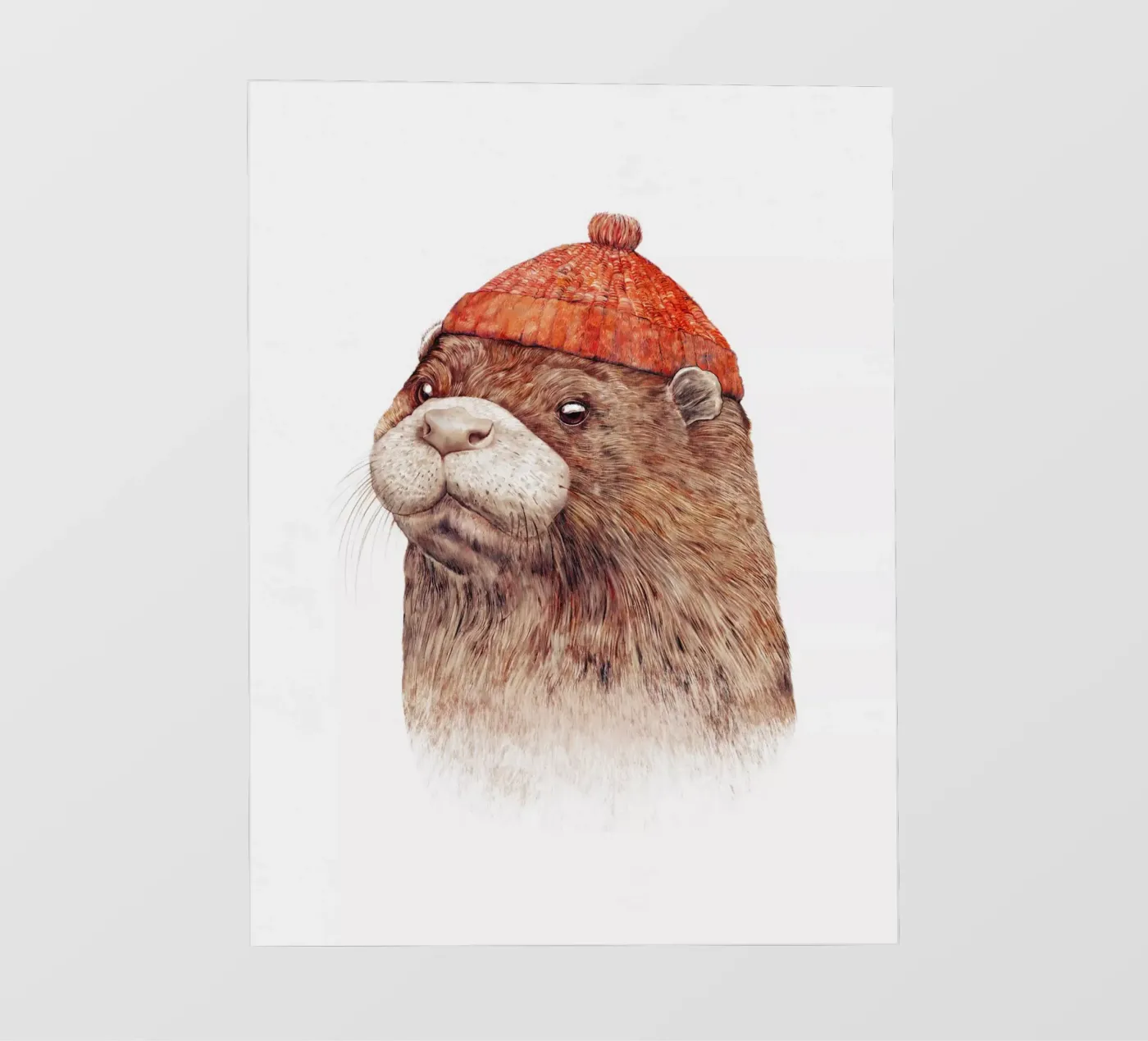 Otter pellicola backlit da Animal Crew