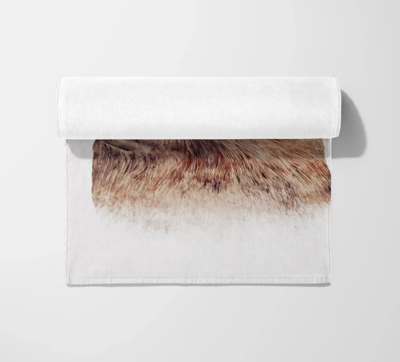 Otter telo mare da Animal Crew