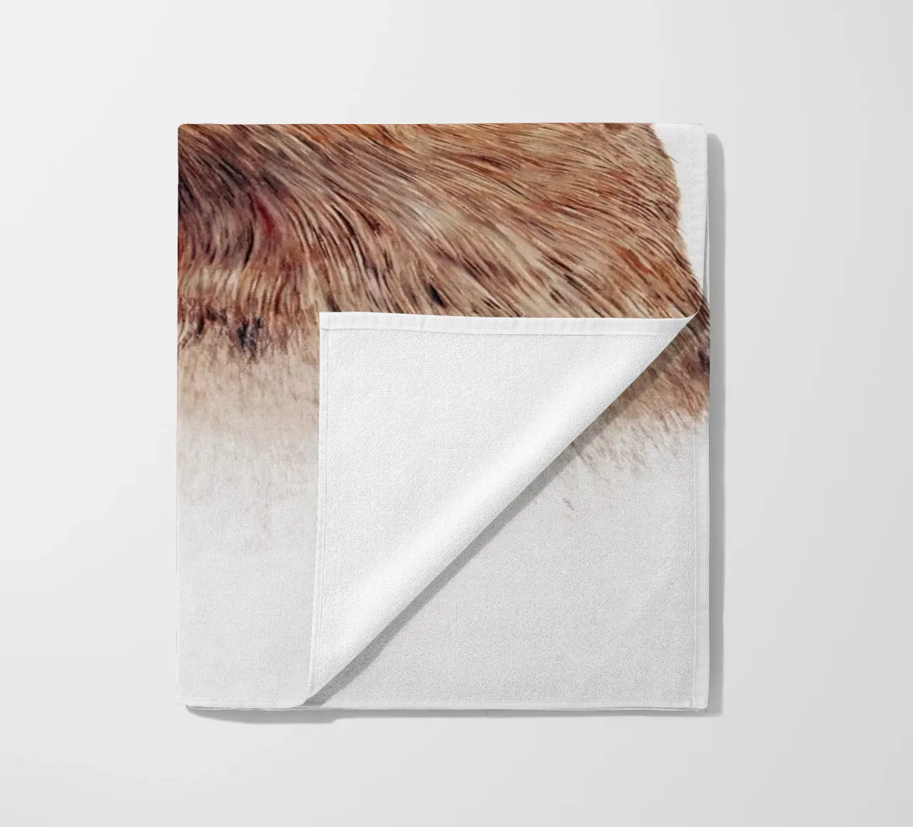 Otter telo mare da Animal Crew