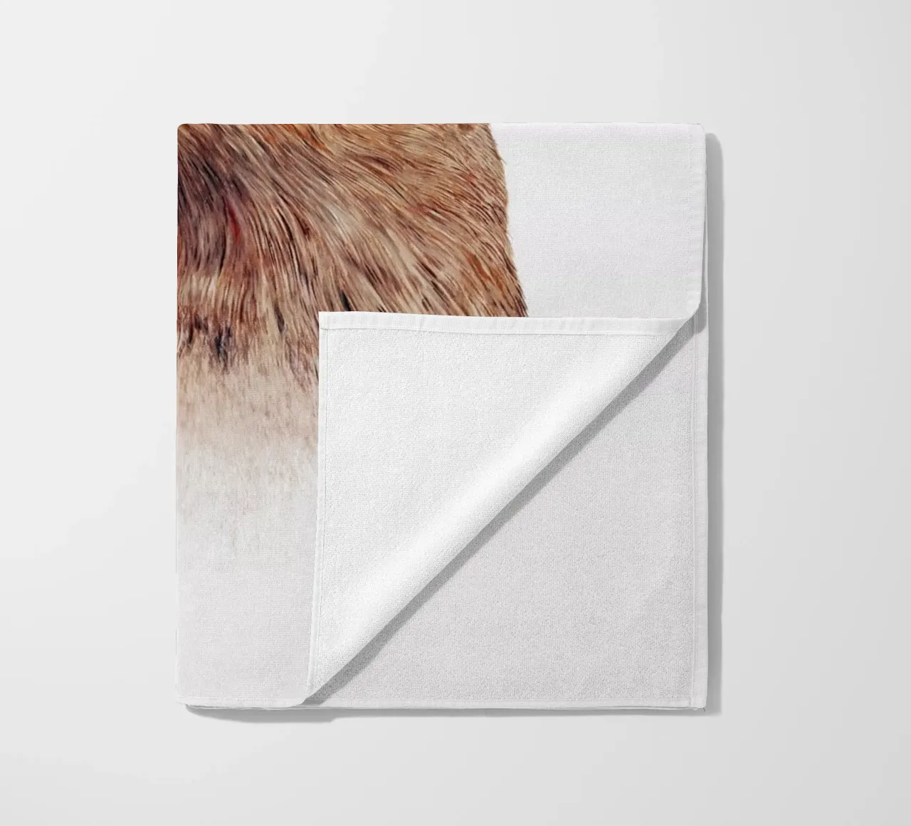 Otter telo mare da Animal Crew