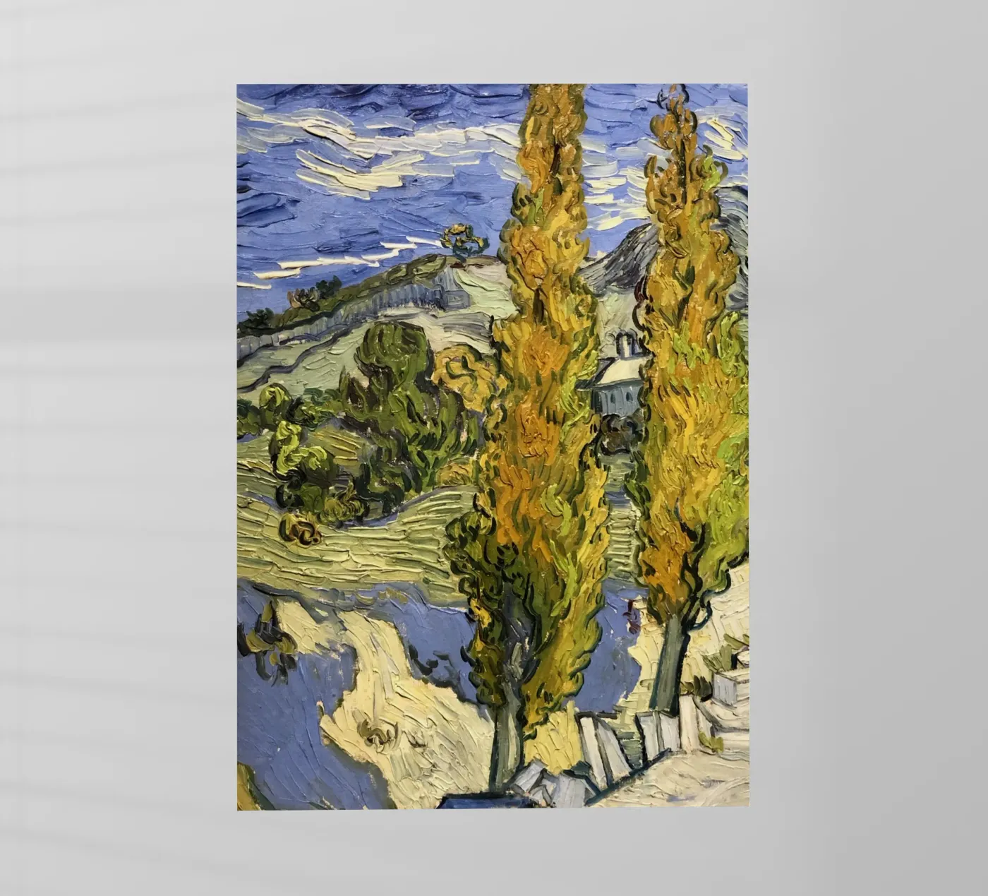 two large pine trees film rétro-éclairé de cloud shop