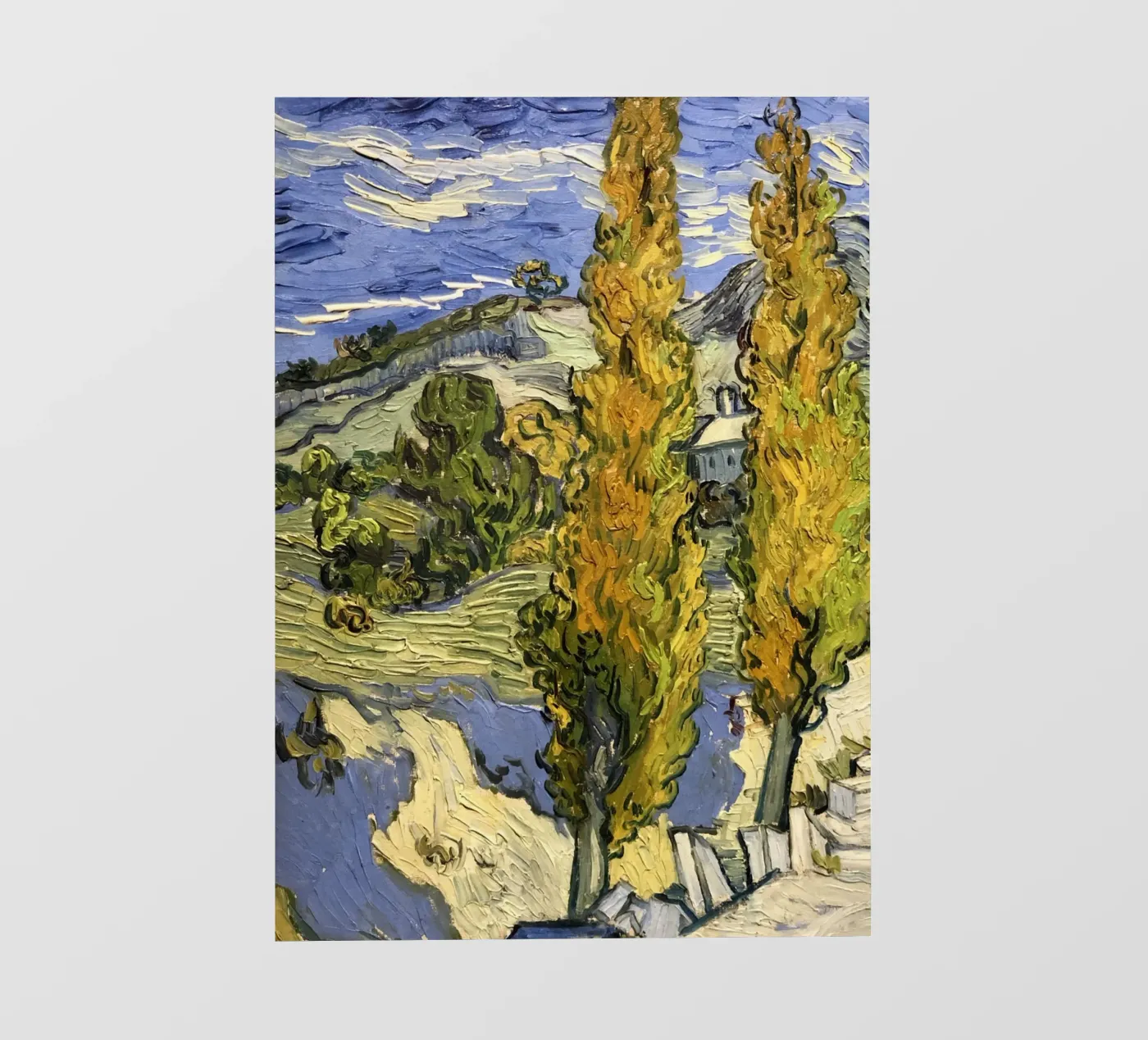 two large pine trees film rétro-éclairé de cloud shop