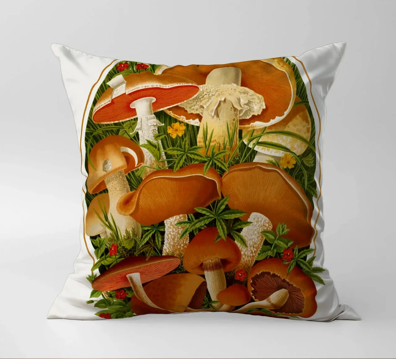 The Gardeners' chronicle cuscino da vintageshop