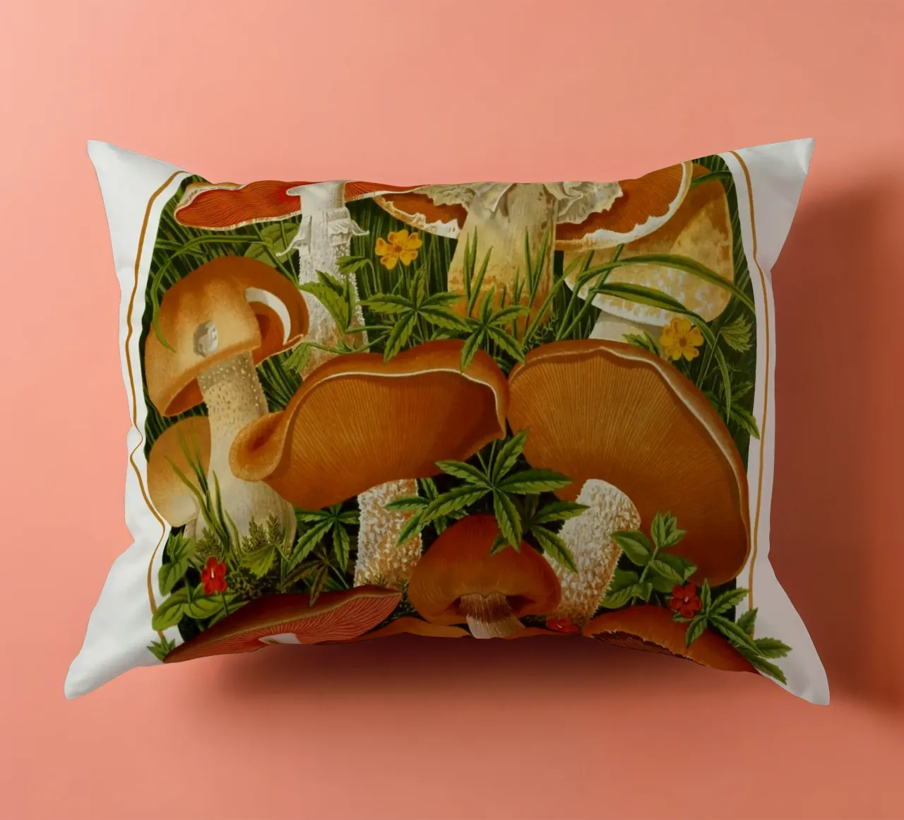 The Gardeners' chronicle cuscino da vintageshop