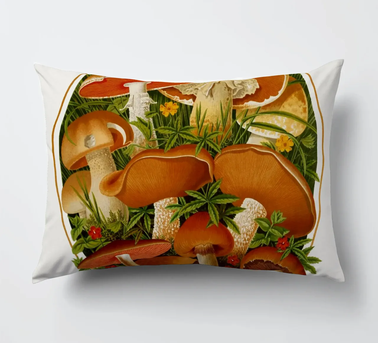 The Gardeners' chronicle cuscino da vintageshop