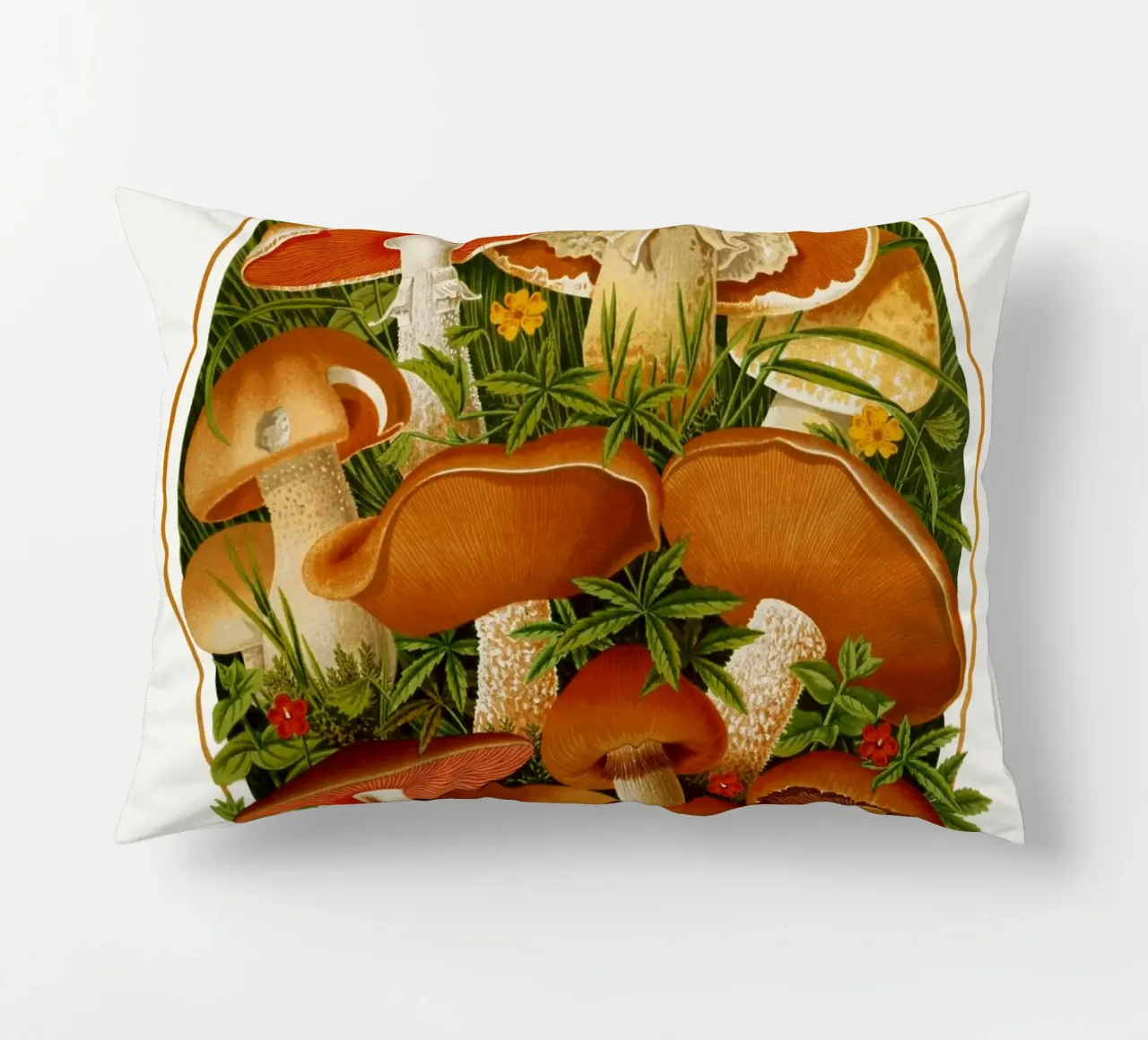 The Gardeners' chronicle cuscino da vintageshop