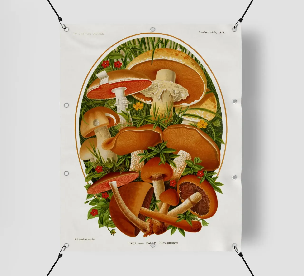The Gardeners' chronicle telo in pvc da vintageshop