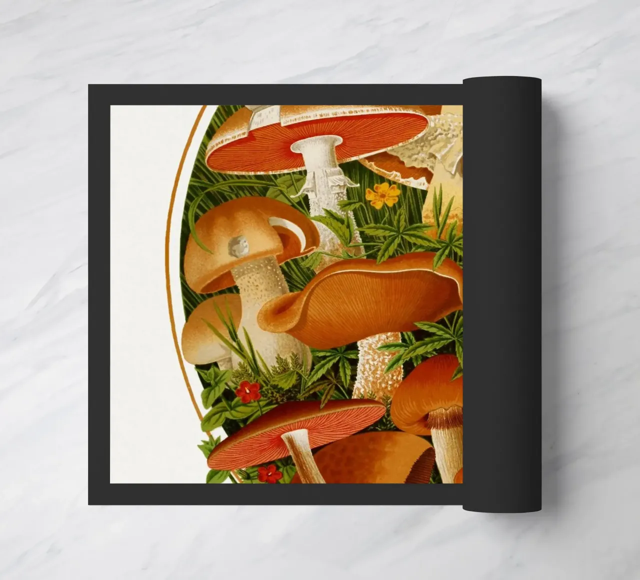 The Gardeners' chronicle zerbino da vintageshop
