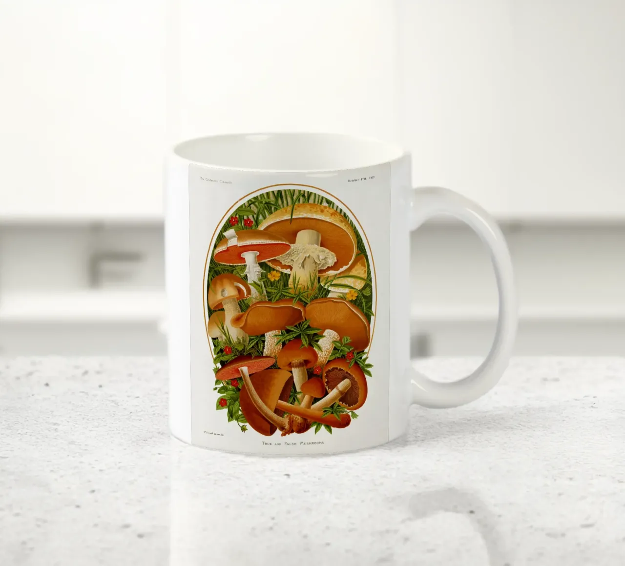The Gardeners' chronicle tazza in ceramica da vintageshop