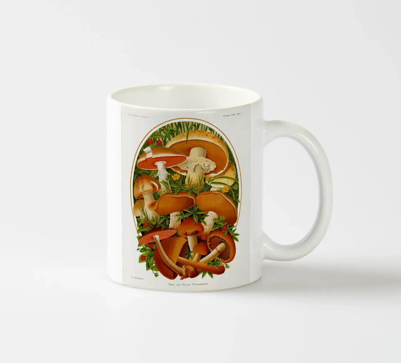 The Gardeners' chronicle tazza in ceramica da vintageshop