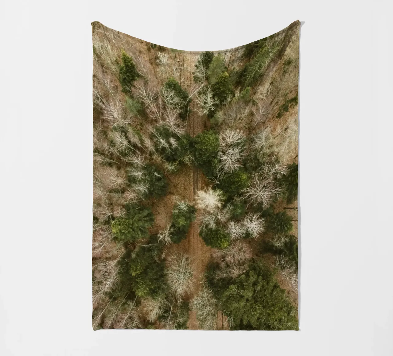 alberi della foresta coperta in pile da Earthly Visions