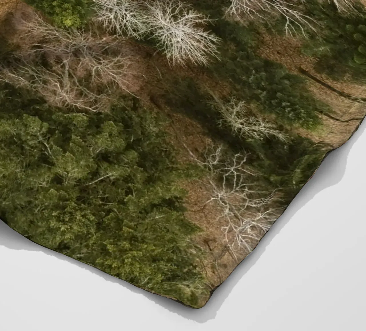 alberi della foresta coperta in pile da Earthly Visions