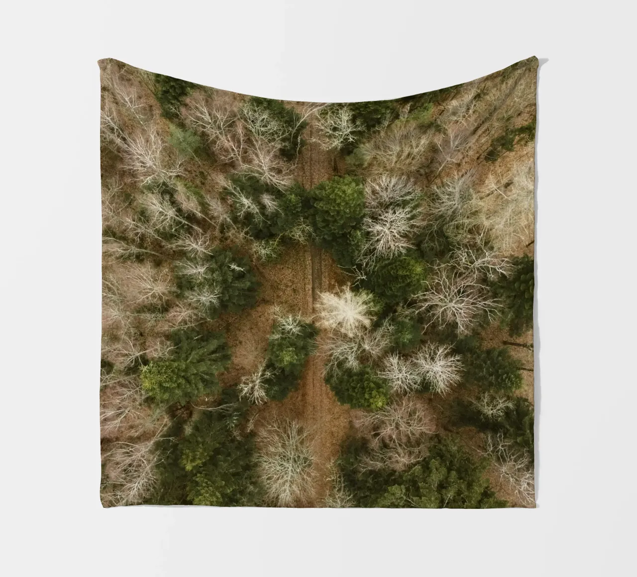 alberi della foresta coperta in pile da Earthly Visions
