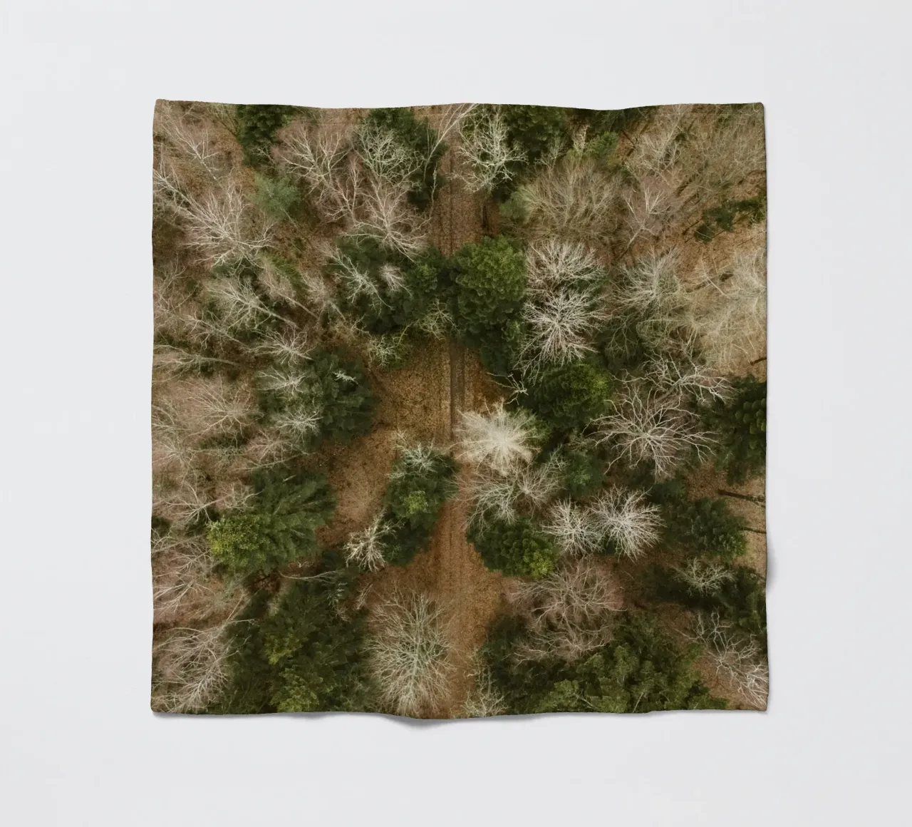 alberi della foresta coperta in pile da Earthly Visions