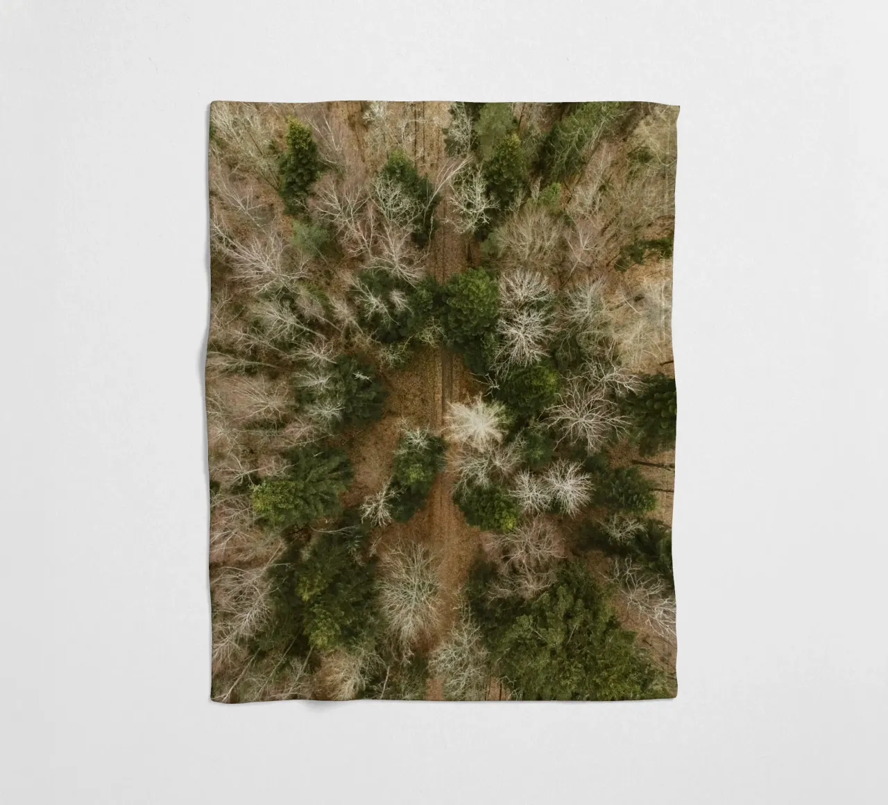 alberi della foresta coperta in pile da Earthly Visions