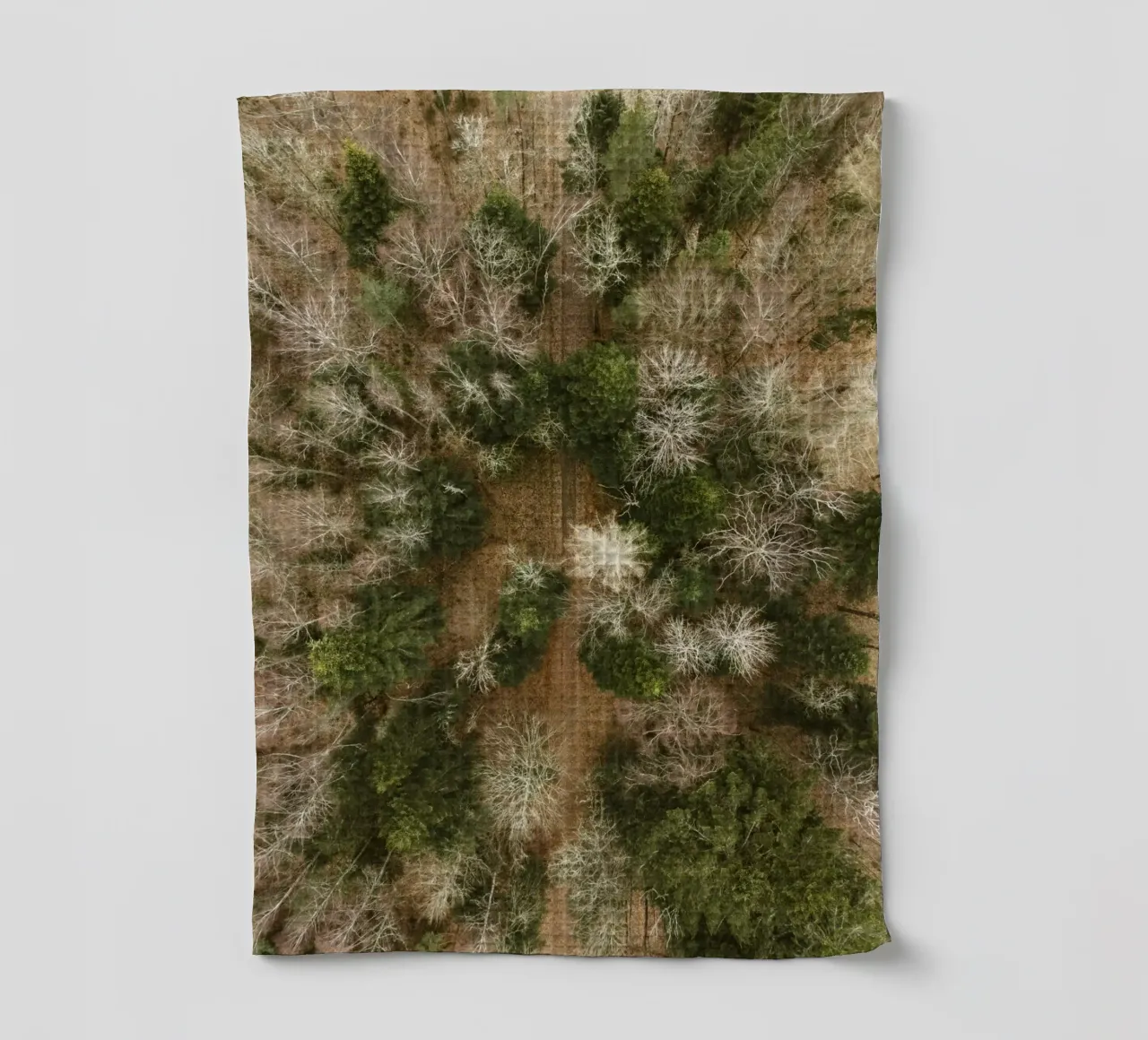 alberi della foresta canovaccio da cucina da Earthly Visions