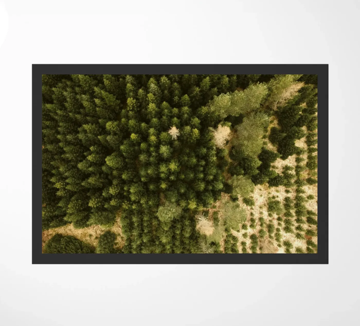 forest trees deurmat van Earthly Visions