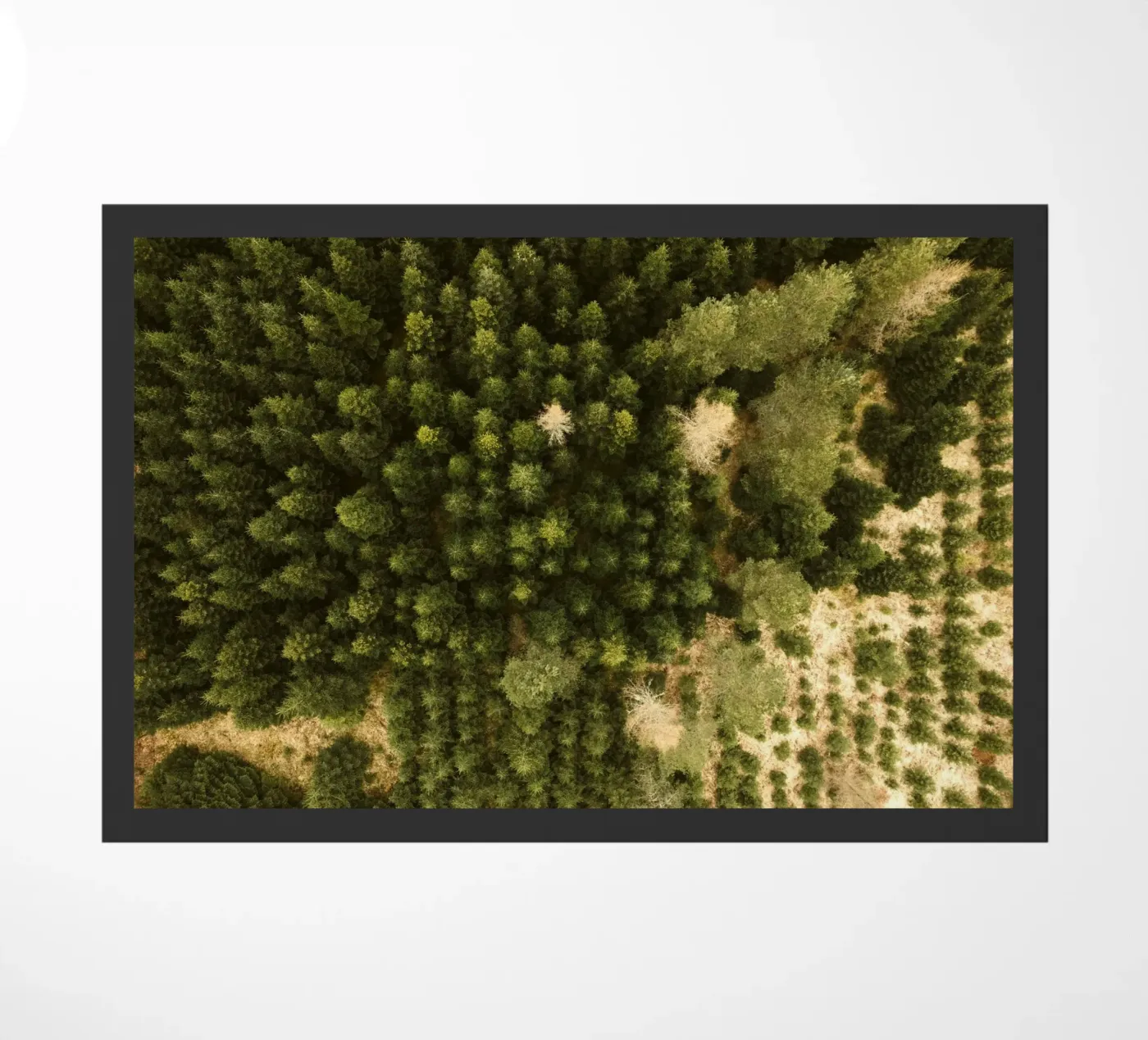 forest trees doormat by Earthly Visions