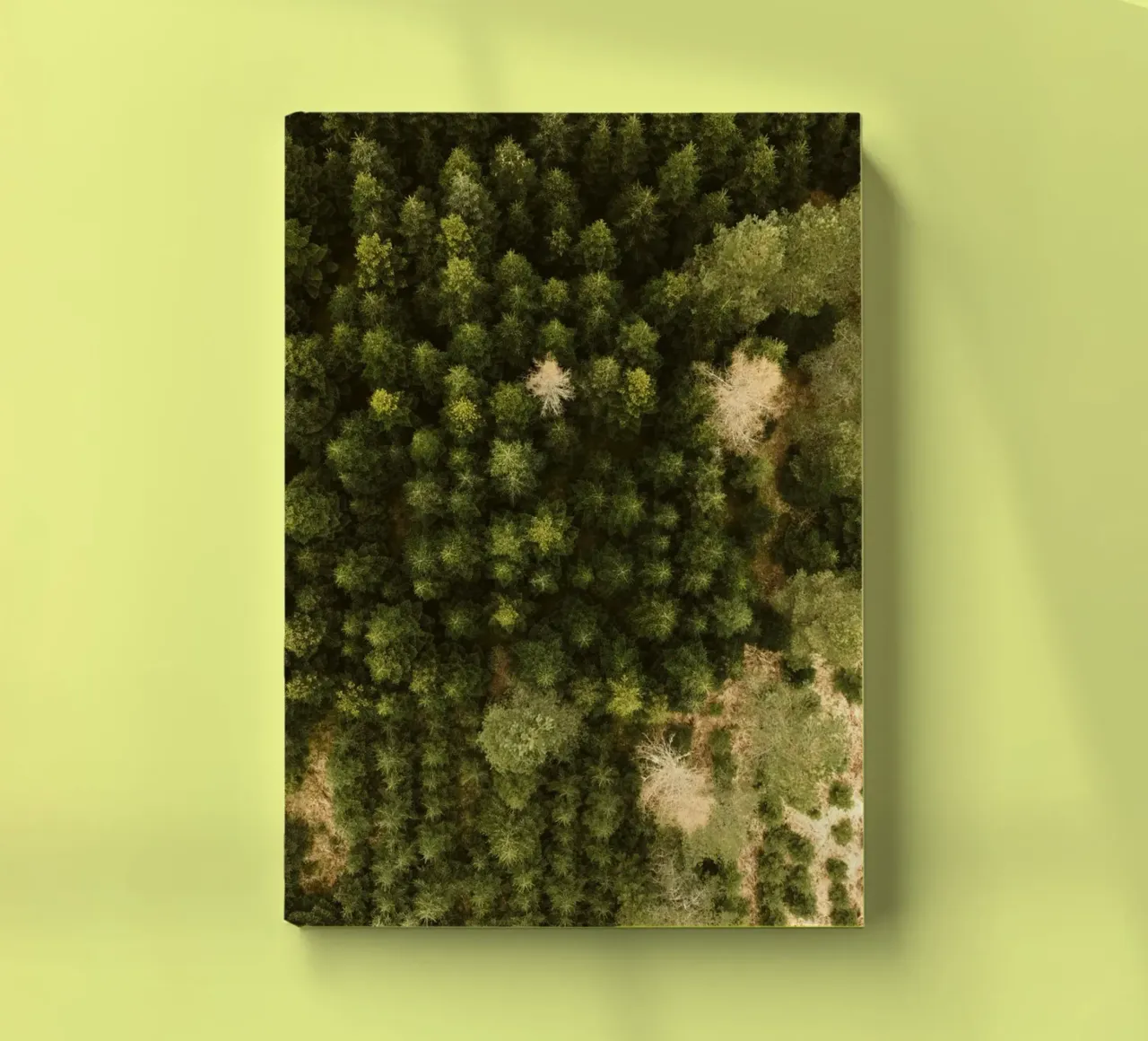 forest trees notebook by Earthly Visions
