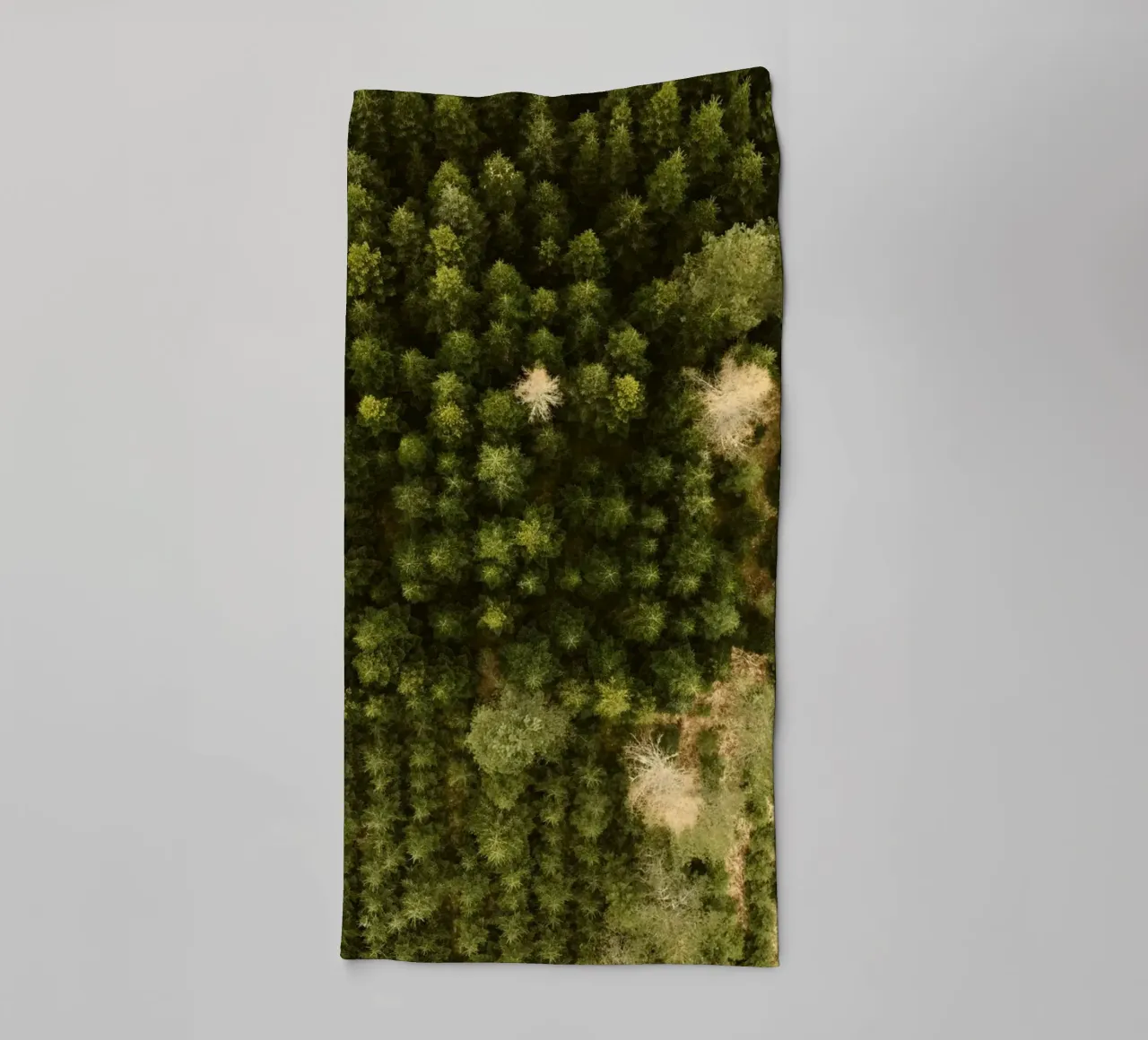 Waldbäume Handtuch von Earthly Visions