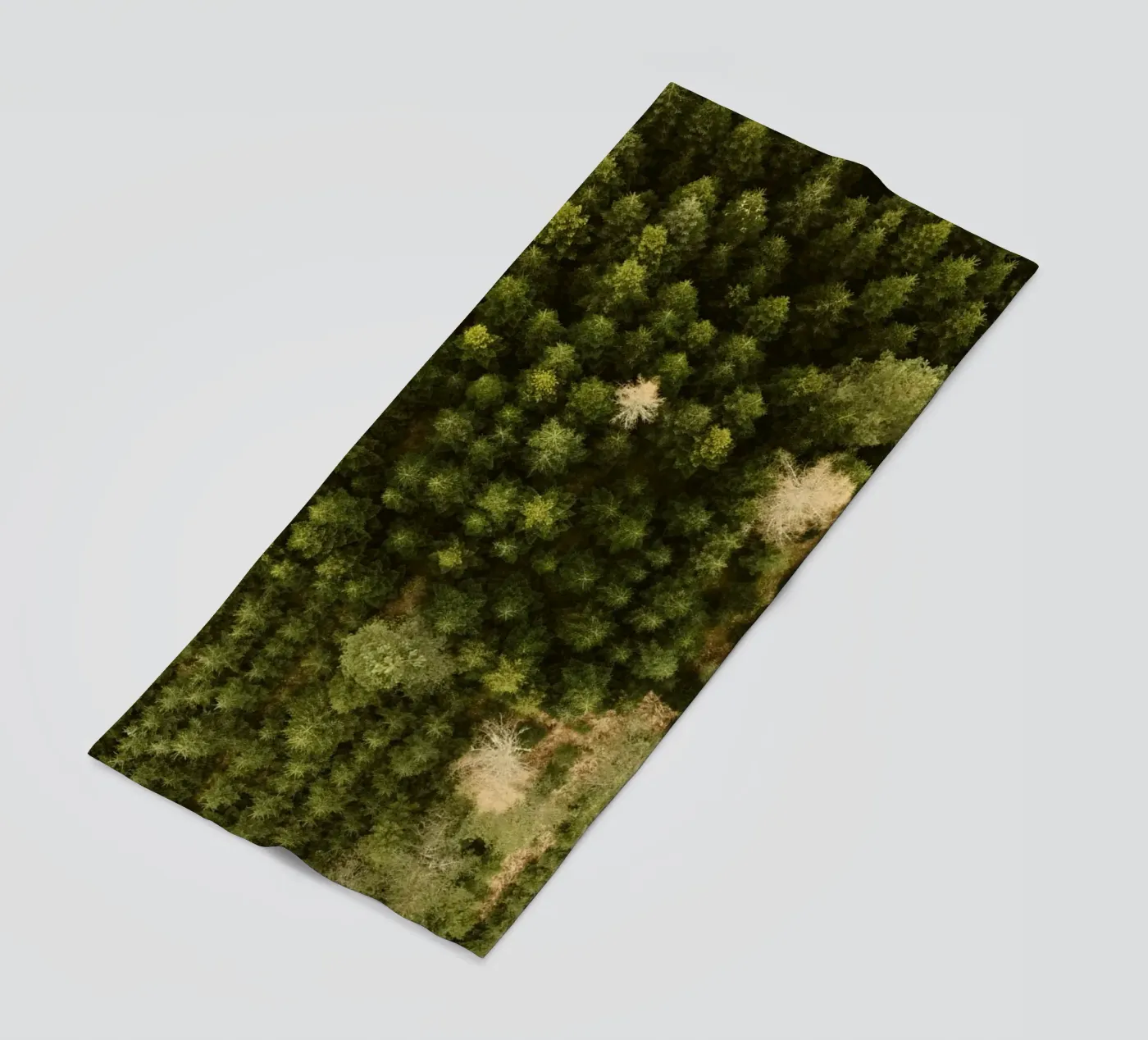 forest trees telo mare da Earthly Visions