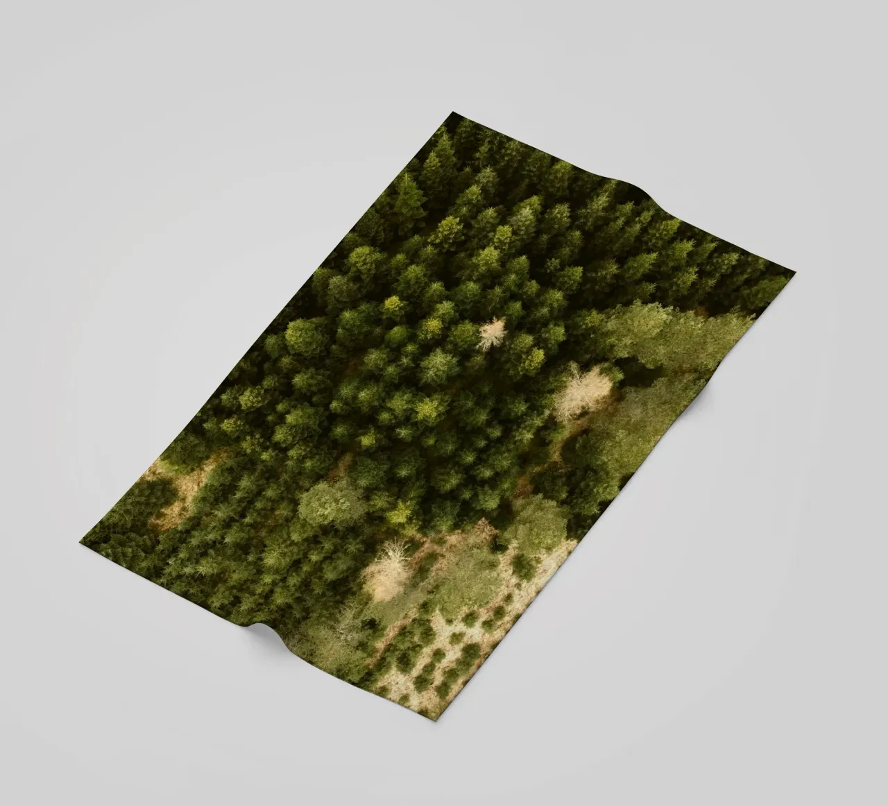 alberi della foresta telo mare da Earthly Visions