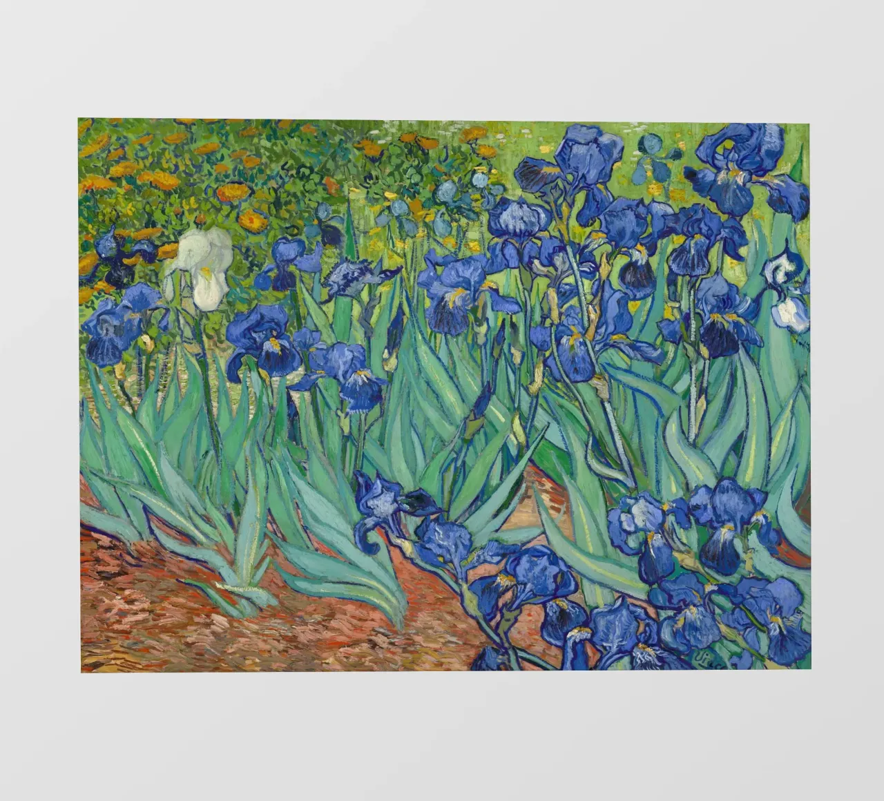 Irises by Vincent van Gogh backlit film by 50 masterpieces