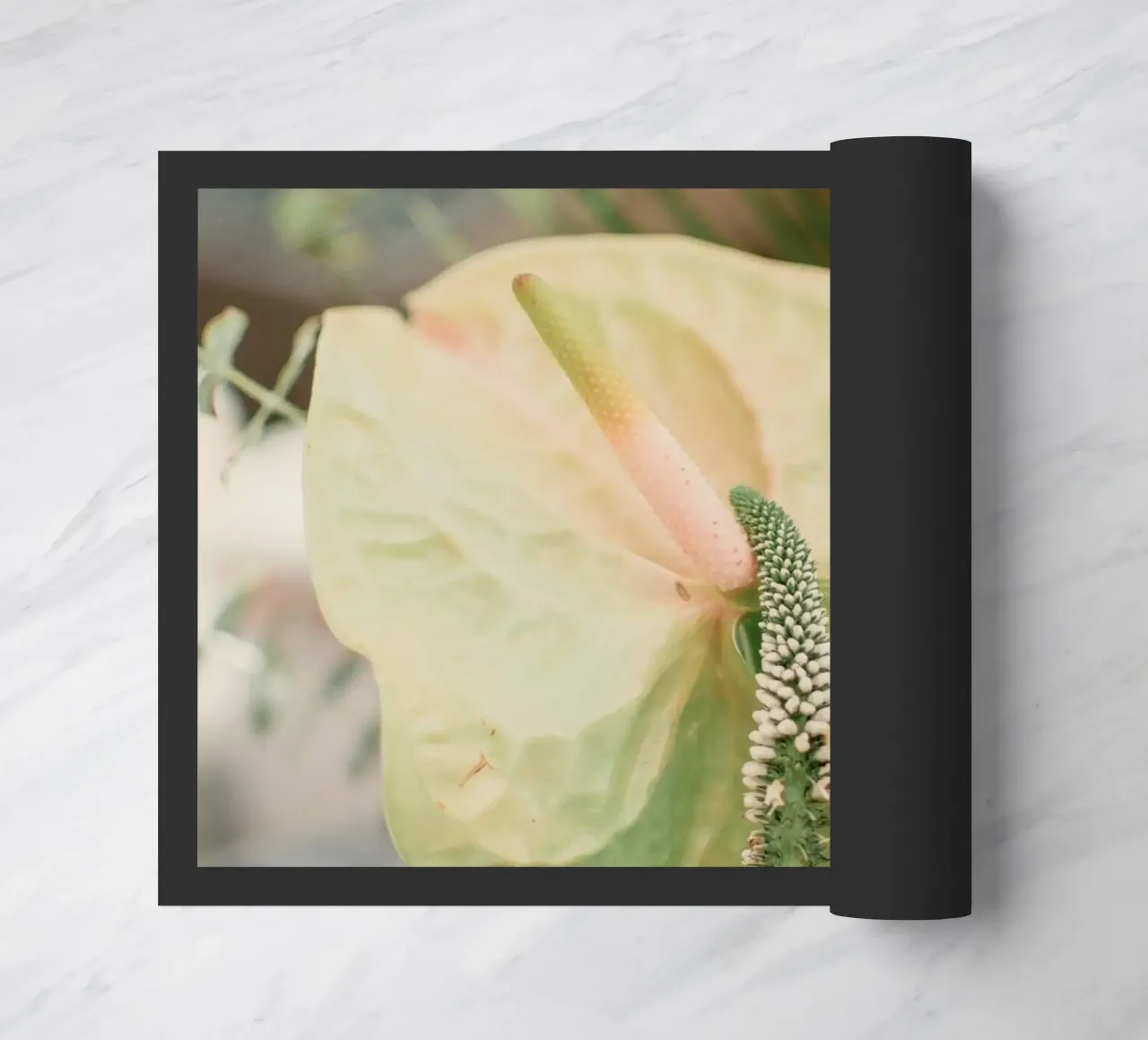 anthurium tropicale zerbino da Earthly Visions