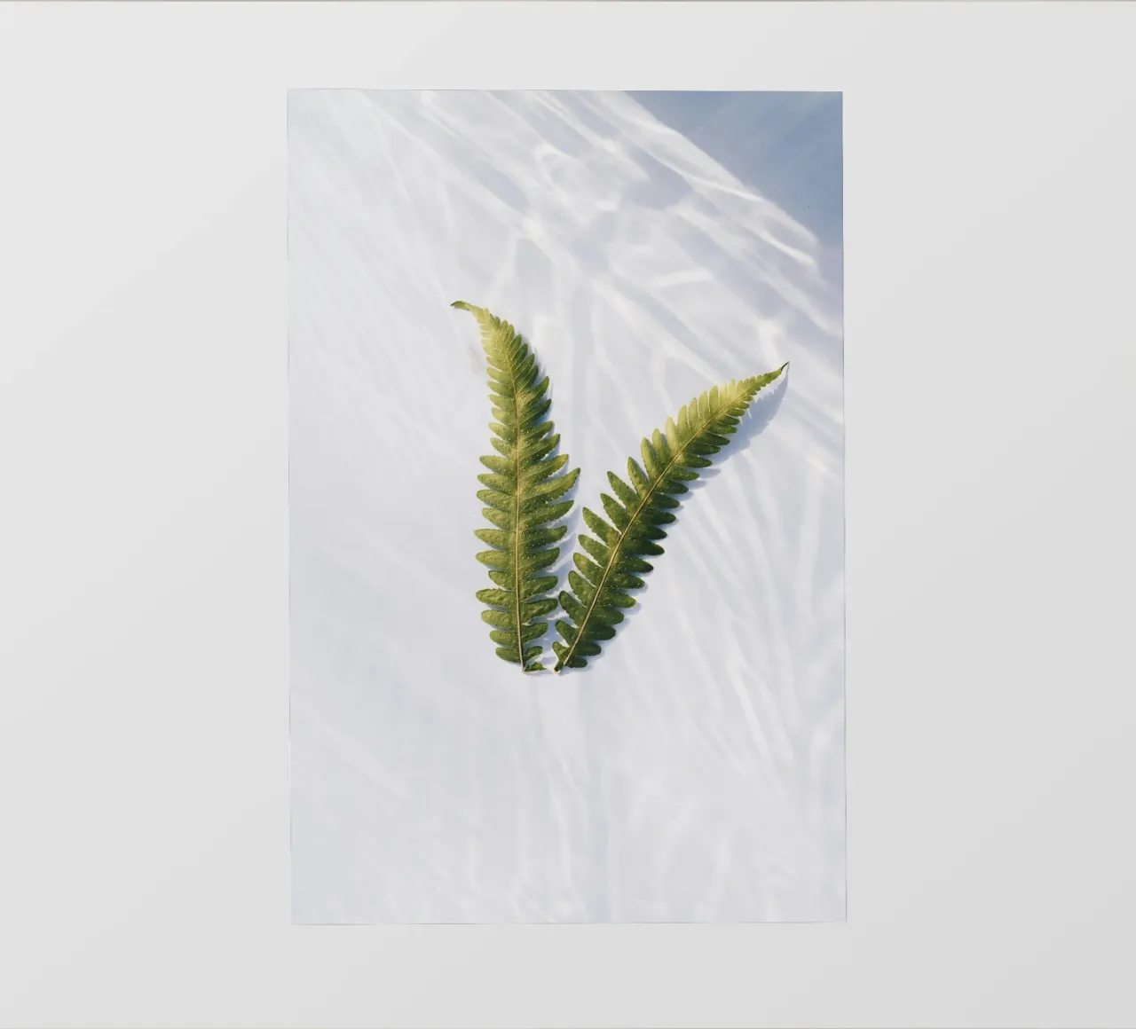 fern leaf photo wallpaper by Earthly Visions