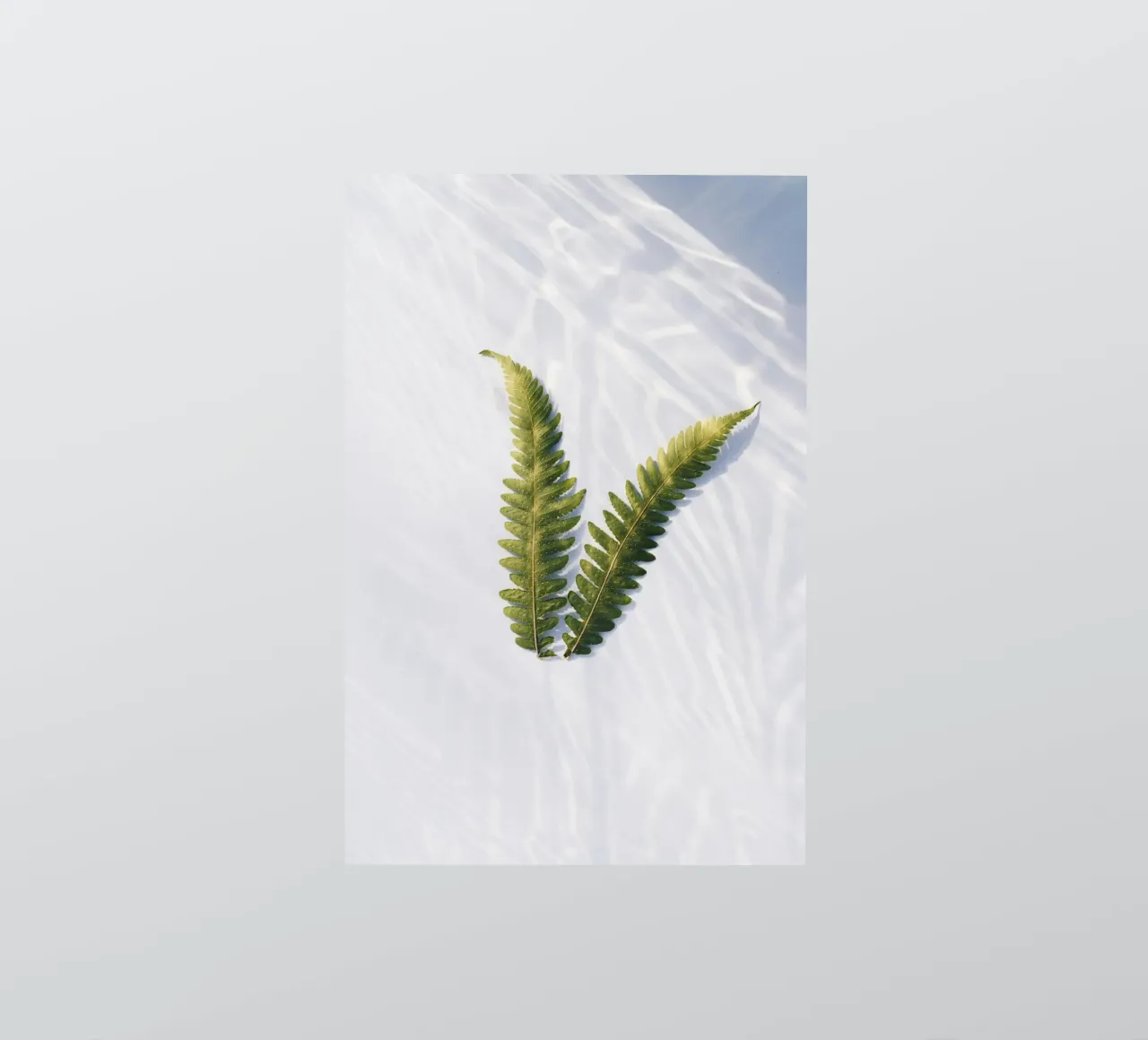 fern leaf sticker by Earthly Visions