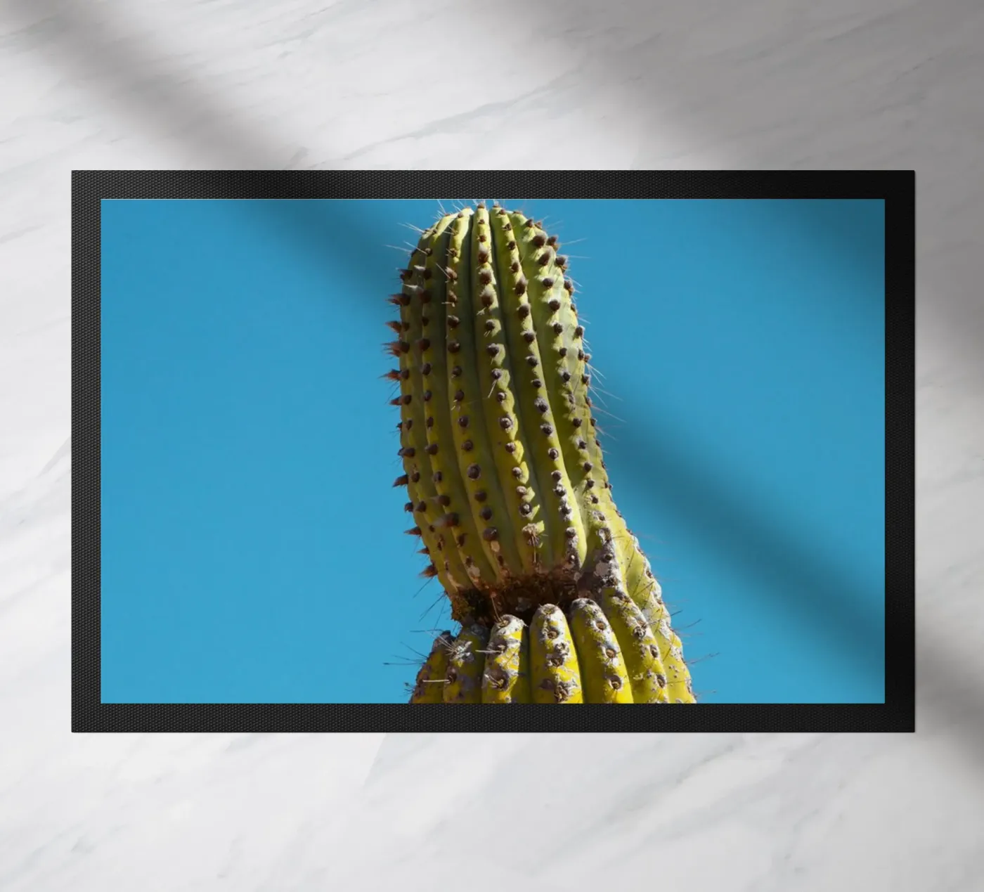 cactus desert deurmat van Earthly Visions