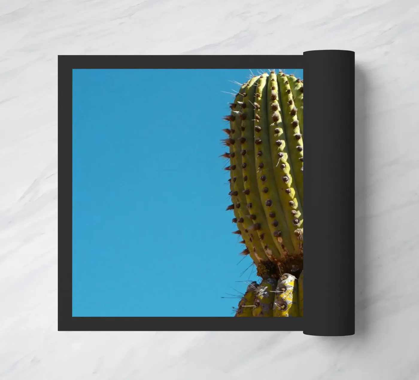 cactus desert deurmat van Earthly Visions