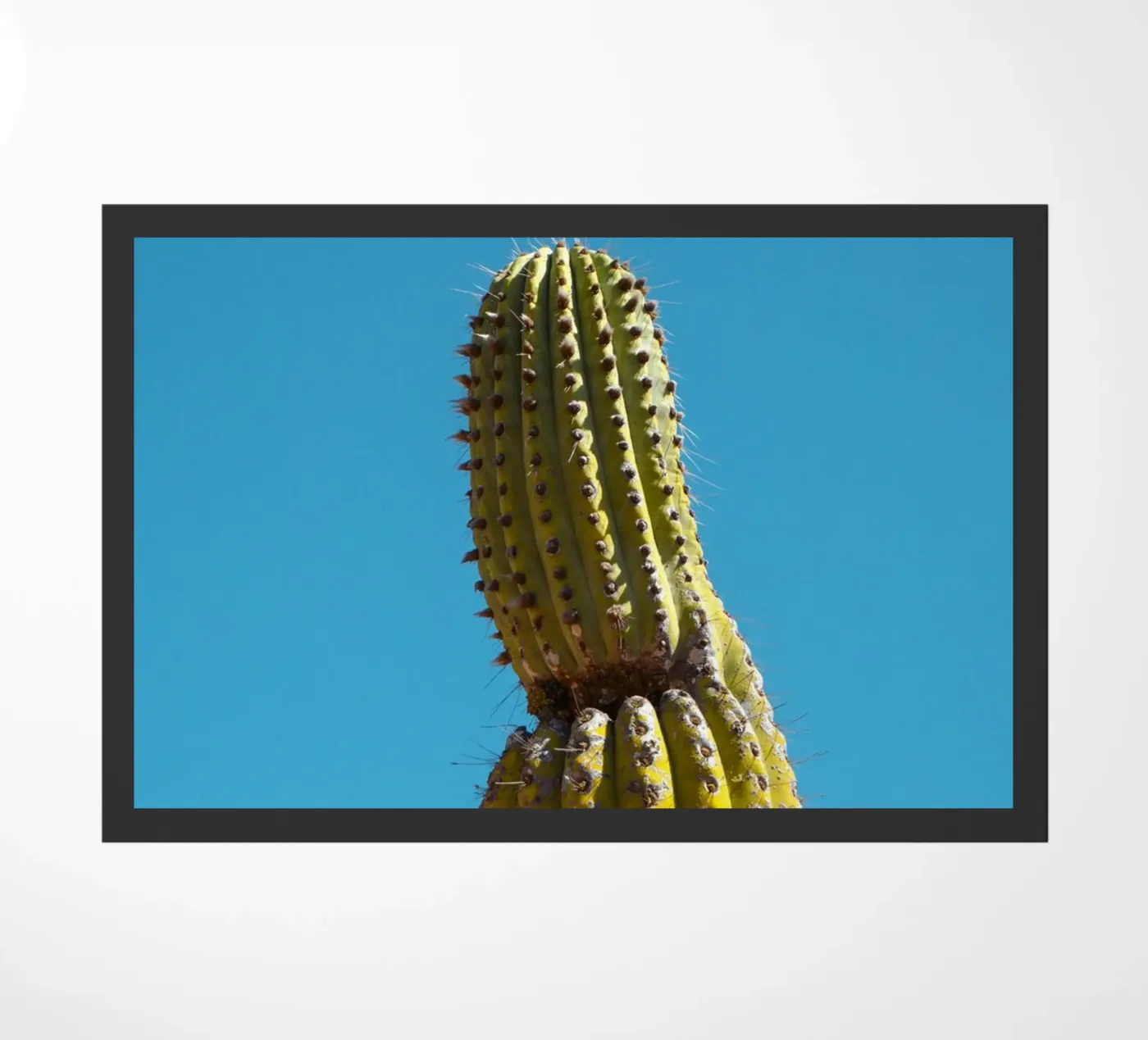 cactus desert deurmat van Earthly Visions