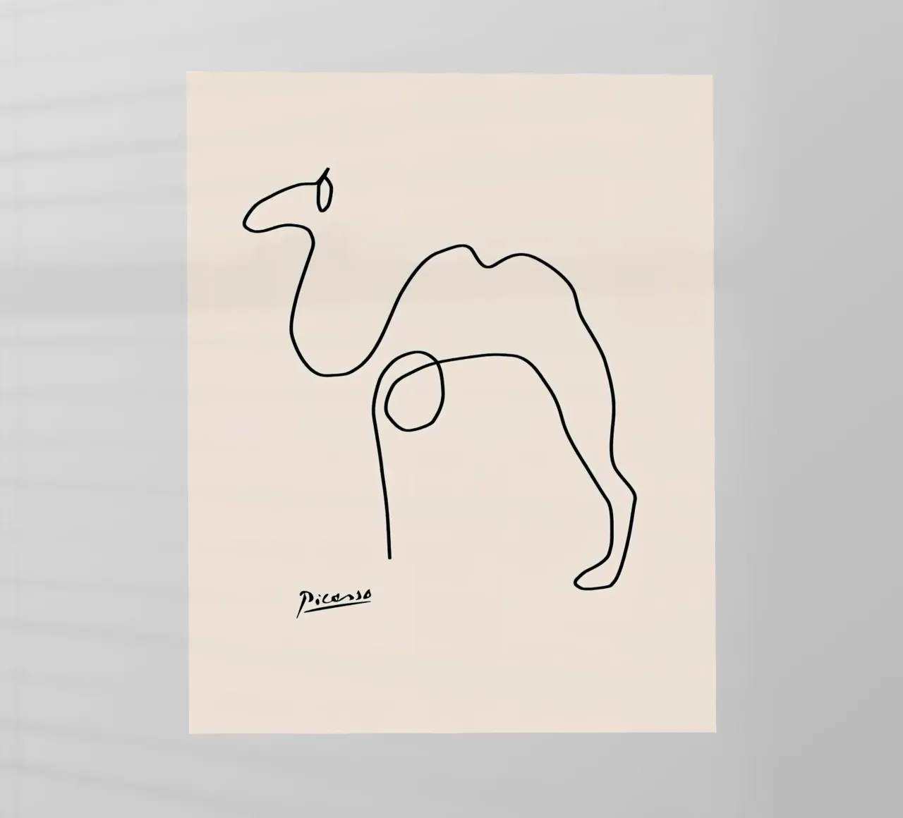 Pablo Picasso Camel Sketch pellicola backlit da Mrs.Allen