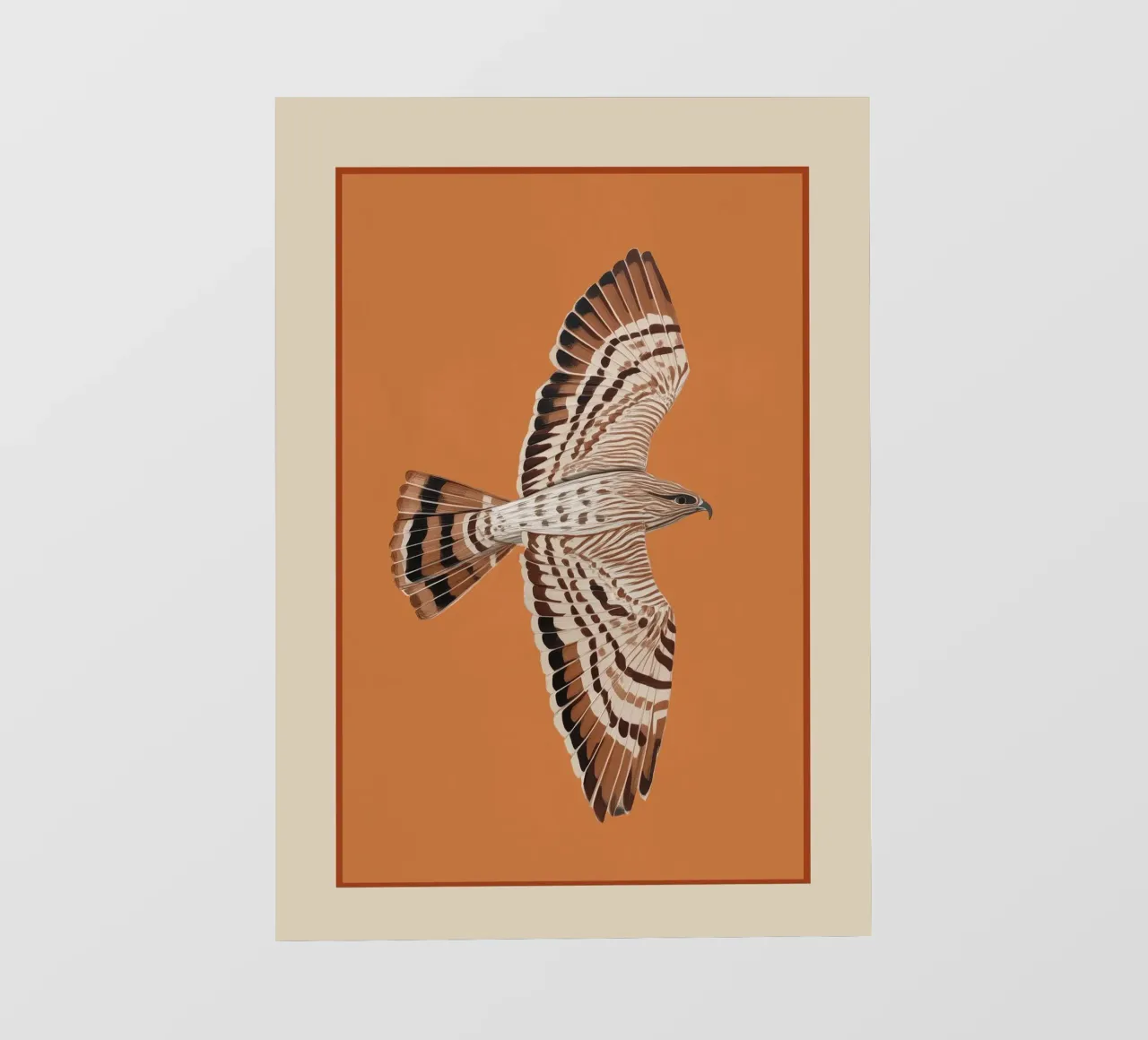 Hawk in Still Flight telo in pvc da cityart