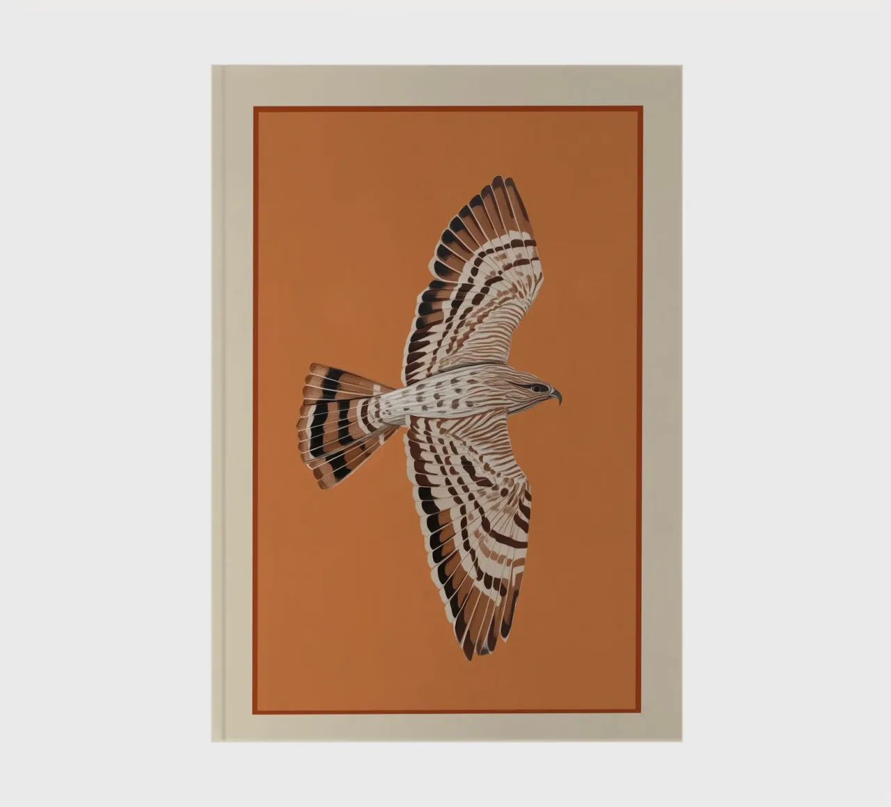 Hawk in Still Flight diario da cityart